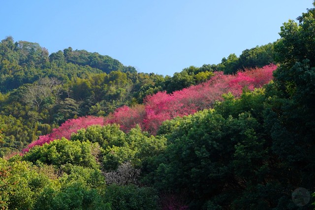 佛慈山靜觀精舍