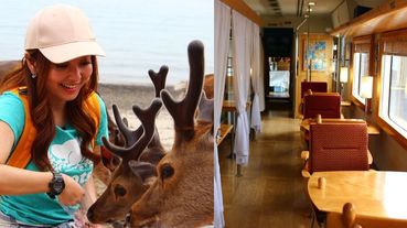 【旅日達人秘笈】日本人也驚嘆的療癒秘境！「斑比小鹿沙灘！在絕美星空下露營，還有變身復古食堂的童話列車！」跟著愛紗去玩日本鹿兒島！