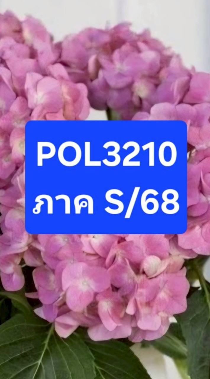 POL3210 ภาค S/68