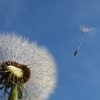 AC清理YT影音分享群