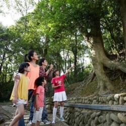 ◎優惠期間 2020/08/17~2020/12/31|◎旅展限時搶購8/17~8/31,|◎平日入住加贈甜心下午茶2客或東森山林館內消費抵用券200元(2擇1),限量升等兩大床精緻四人客房種類:住宿