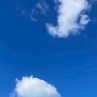 雑談メインの⭐︎乳がん患者の部屋