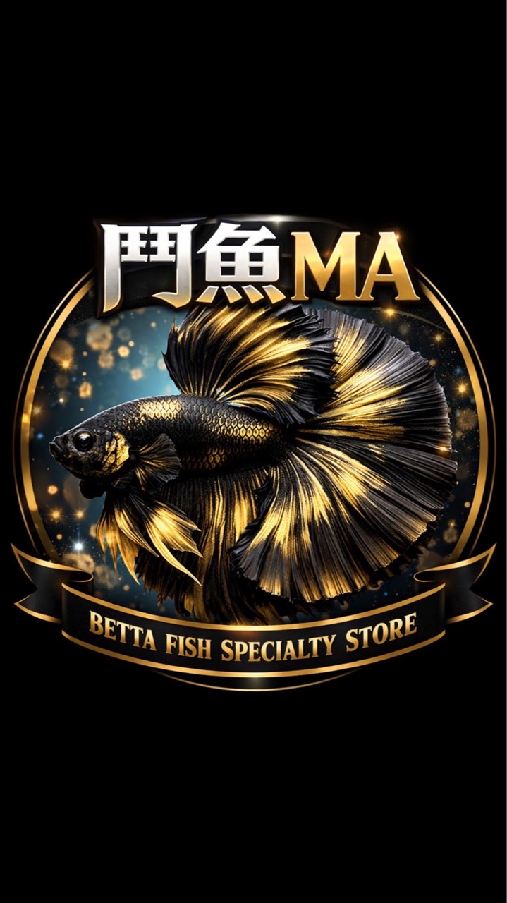 鬥魚MA（專業展示級鬥魚專賣）