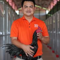 SG FARM VIP