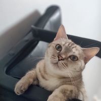 @jsmileshop
