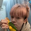 黃豆粉絲群帶你來開心🐱