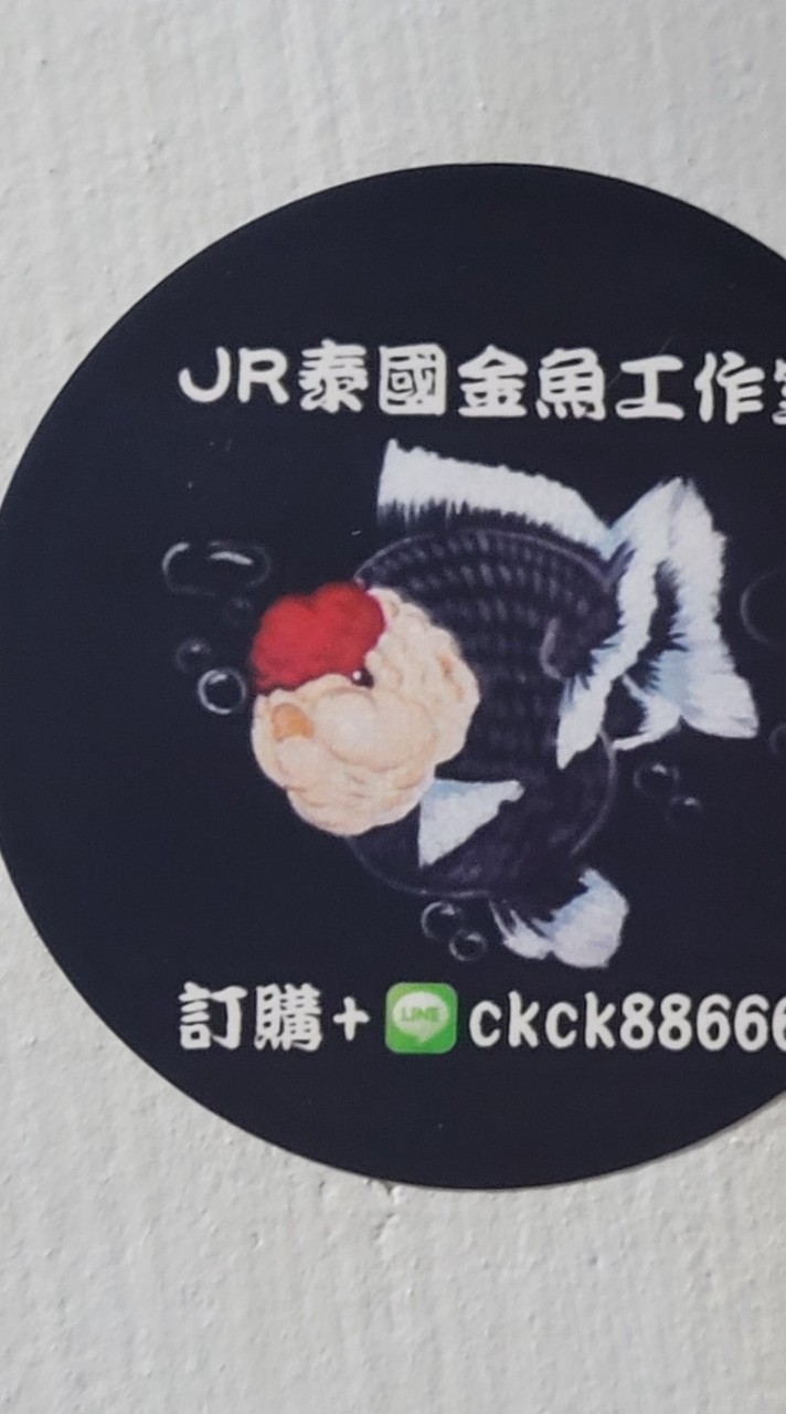 JR金魚工作室 金魚分享交流