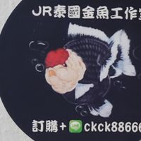JR金魚工作室 金魚分享交流