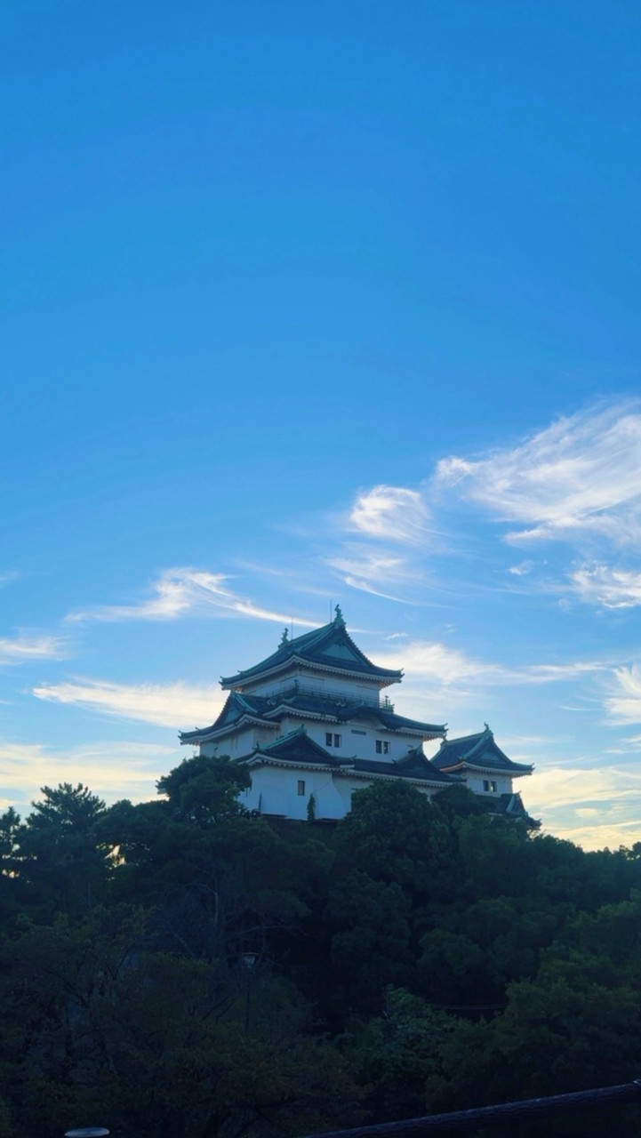 阪府代購
