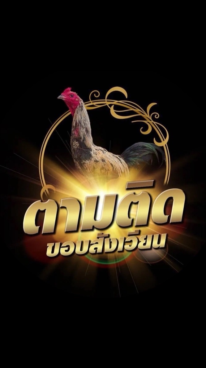 ตามติดขอบสังเวียนV2