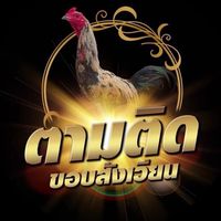 ตามติดขอบสังเวียนV2