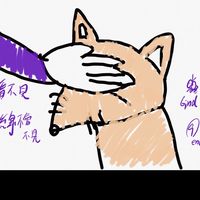 張老師Gind僅得，情緒管理討論室
