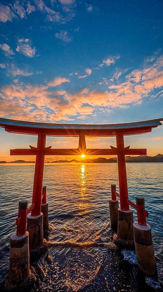 🏝️咕咕島ㄉ不定時連線&代購✈️