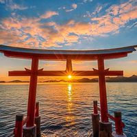 🏝️咕咕島ㄉ不定時連線&代購✈️