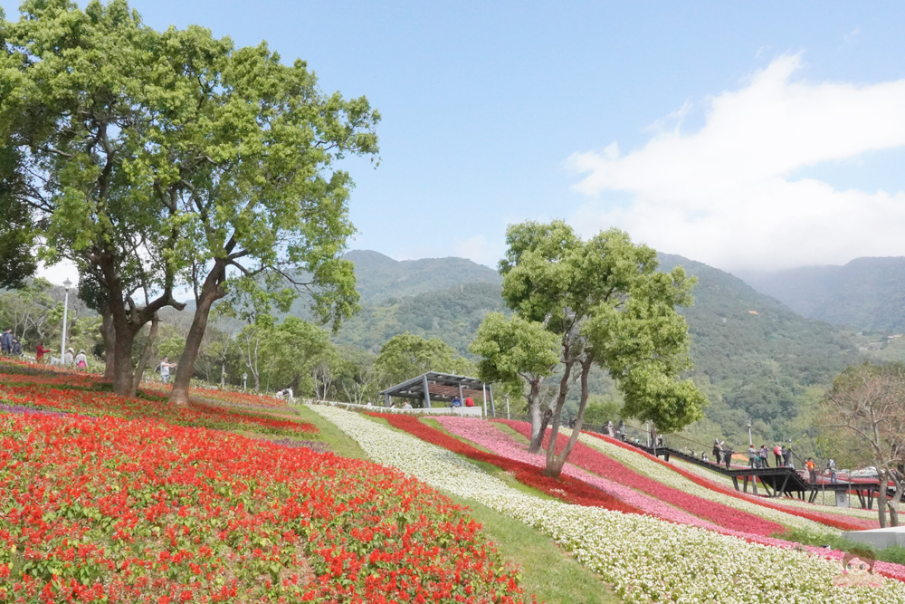 陽明山北投溫泉鄉呼吸新能量！北投春天酒店 Spring City Resort 皇家溫泉湯屋、雙人定食房內享用