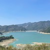 曾文水庫筏岸釣友釣魚釣況分享