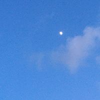 みんなで歌い方やミームについてワイワイ話そうぜ‼️ あと仲良くしよ〜‼️‼️‼️