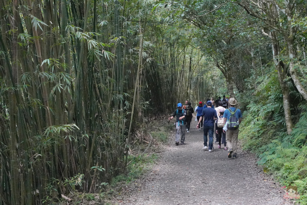 宜蘭.礁溪 臺灣的抹茶冰淇淋山，網美級小百岳仙境，挑戰聖母山莊步道，順收五峰旗瀑布