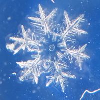 化学物質過敏症@北海道　CSinEZO