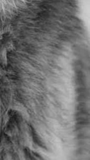  ︎︎ ︎︎ ︎︎　❤︎