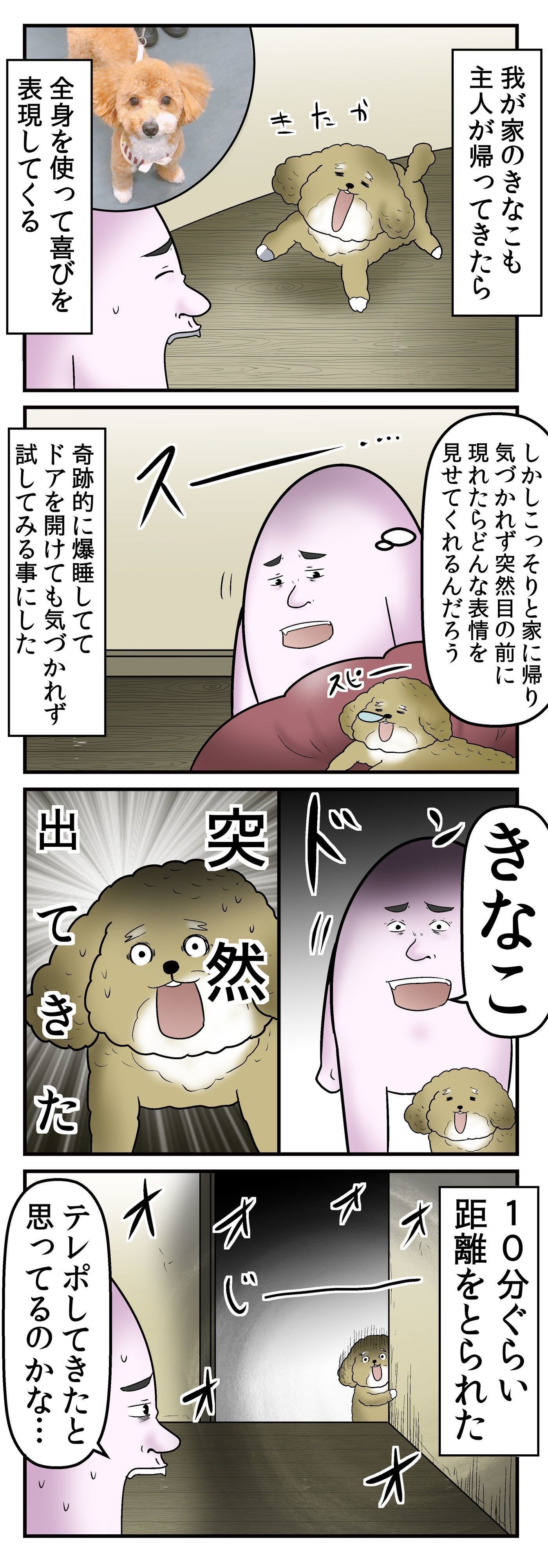 やしろあずきときなこの日常 そっと帰宅した飼い主に犬は