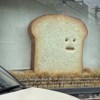 路上看到的臉
