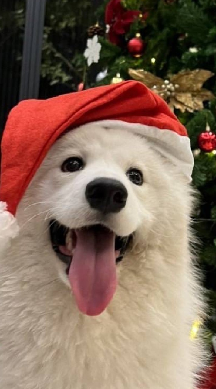 toodma