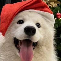 toodma