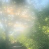 空に見惚れて、恋に気付いて