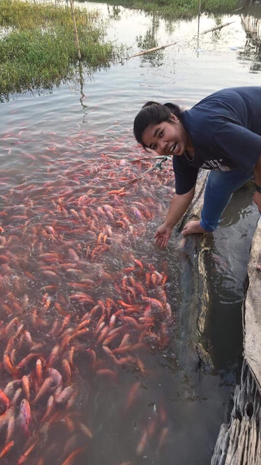 เกษตรพอเพียง เดินตามเท้าพ่อ