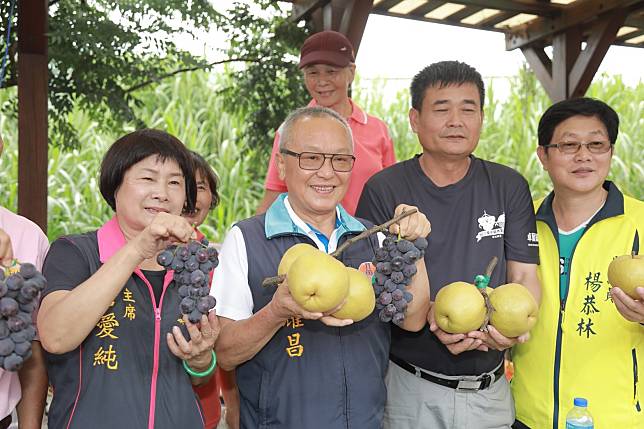 梨山 卓蘭水果大豐收品嘗鮮甜好滋味 Nownews 今日新聞 Line Today