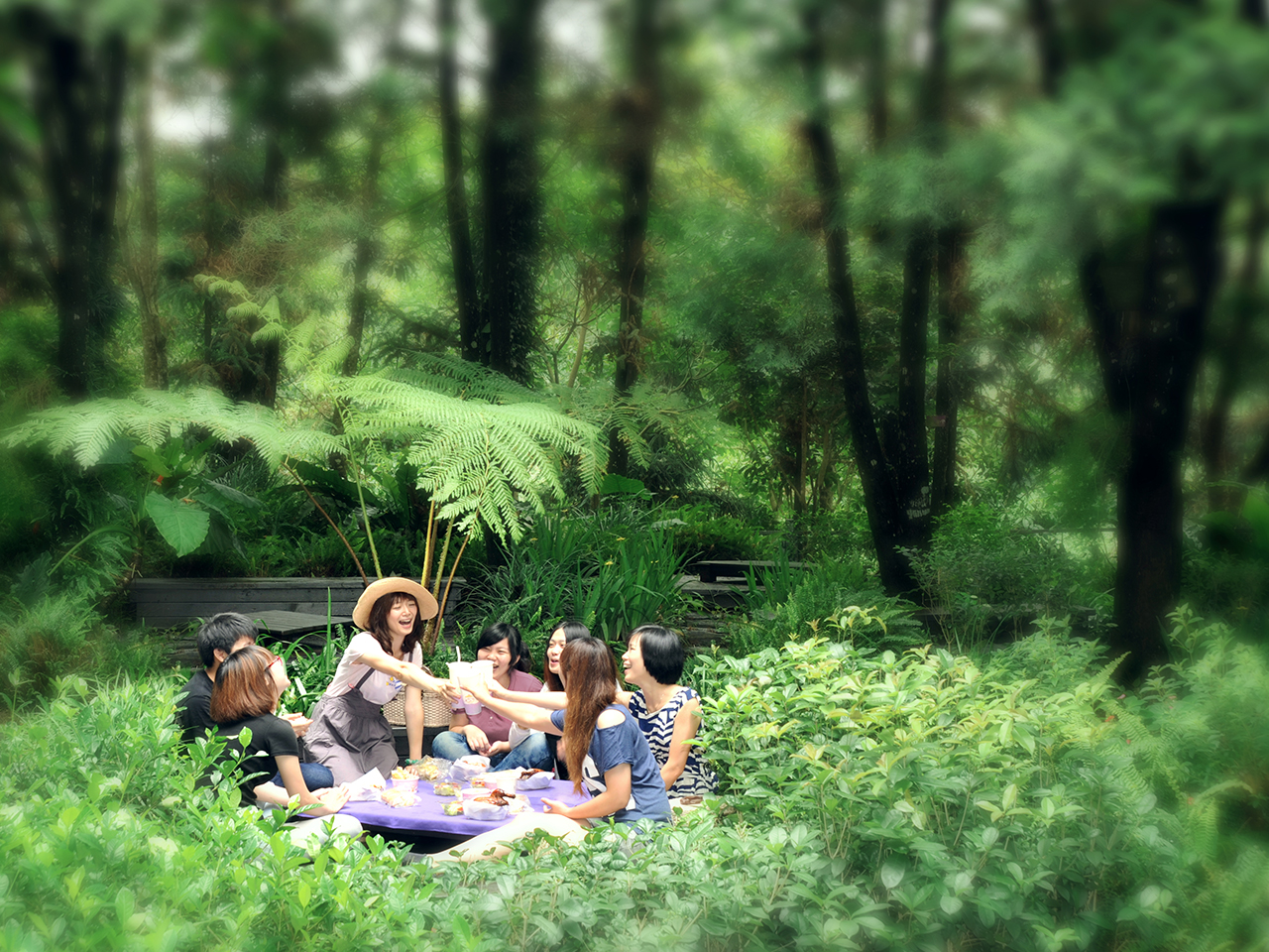 圖片來源/薰衣草森林-新社店