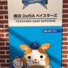 新潟の横浜DeNAベイスターズファン