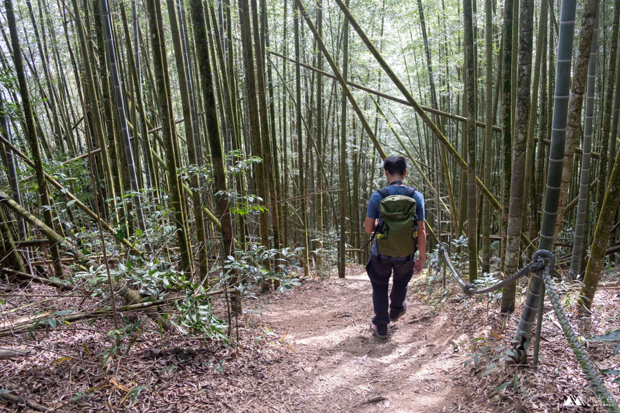 山女孩MelissaxMao冒險生活_水社大山_日月潭登山_路線分享-27.JPG