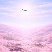 数学作問部屋