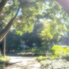 雨音カフェ ⸝⸝ ☕️ྀི