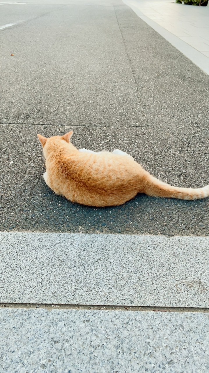 ミラクルメンタルヘルス講習会inレイビレッジ