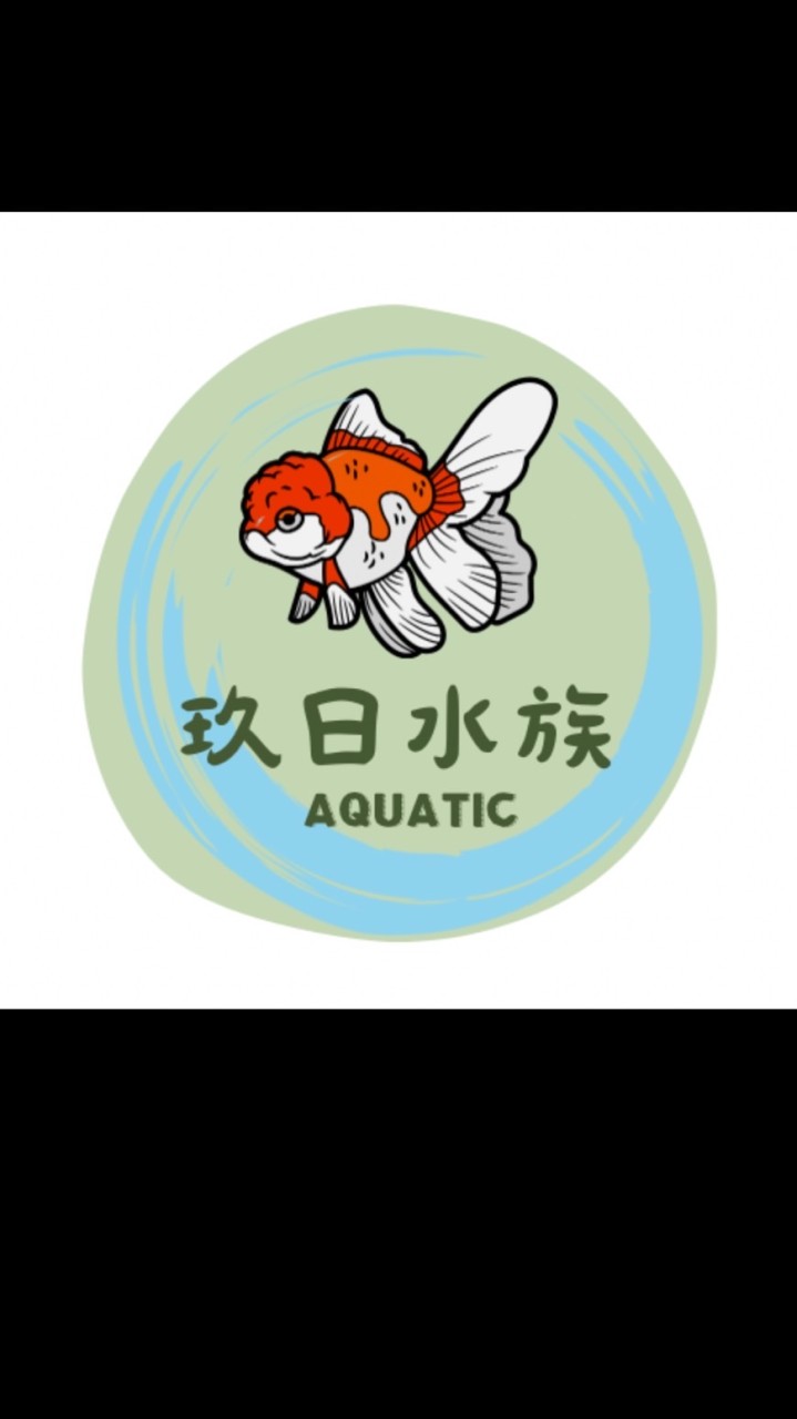 🐟玖日水族🐟金魚/泰獅/珠鱗/蘭壽/三湖慈鯛/各式觀賞魚交流社群🌟