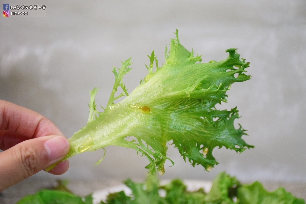 水耕蔬菜_營養師輕食DSC_0102Liz開懷大笑看世界.JPG