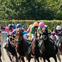 AI分析＆競馬予想🏁🏇