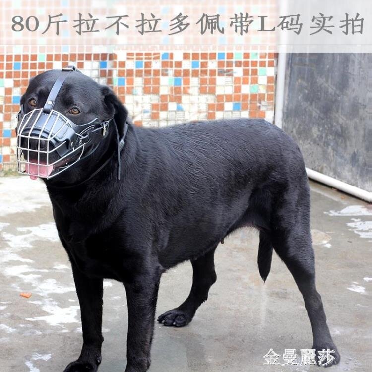 狗嘴套口罩防咬防叫大中型犬止吠器防亂吃金毛哈士奇阿拉斯加邊牧 全館免運