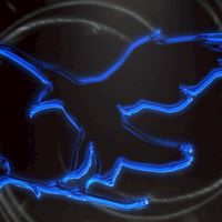 R6S Clan:Navy_SEALs(ネイビーシールズ)