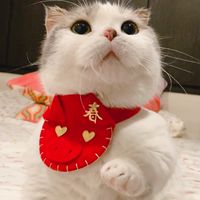 CatSlave🐱