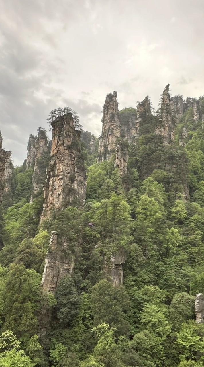 領隊阿泰旅遊資訊（天海）line ID：a0955231806
