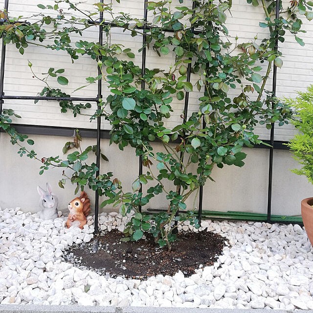 花壇で庭を自分らしく演出したい方へ 花壇のdiyアイデア Roomclip Mag