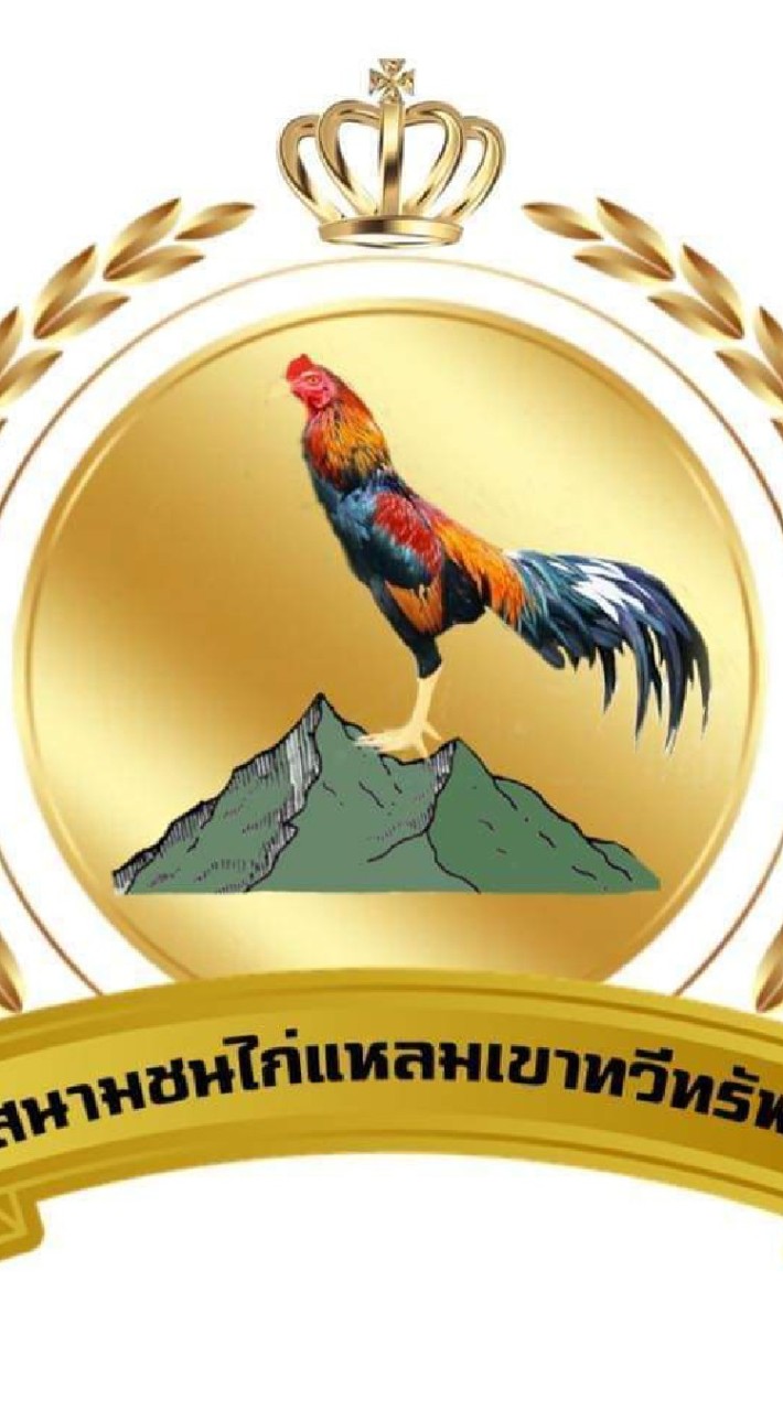 🐓สนามชนไก่แหลมเขาทวีทรัพย์🐓
