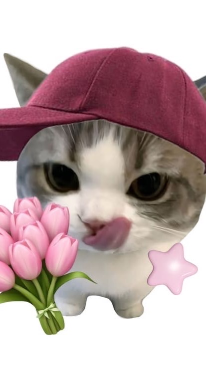 บ้านลิลลี่🌷🍃