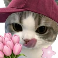 บ้านลิลลี่🌷🍃