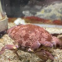 6月になりまして潮目が変わりそうな時期頑張っていきまっしょい部屋