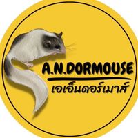 Dormouse Baan A.N.🔥